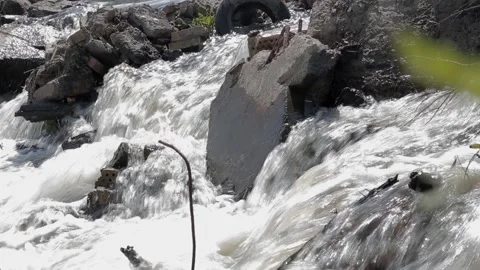 Small stream water flow Stock Footage 155128774