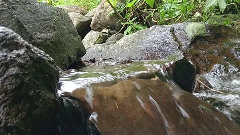Small Stream Water Flow Over Rocks Natural Outdoor Scene Stock Footage 330577841