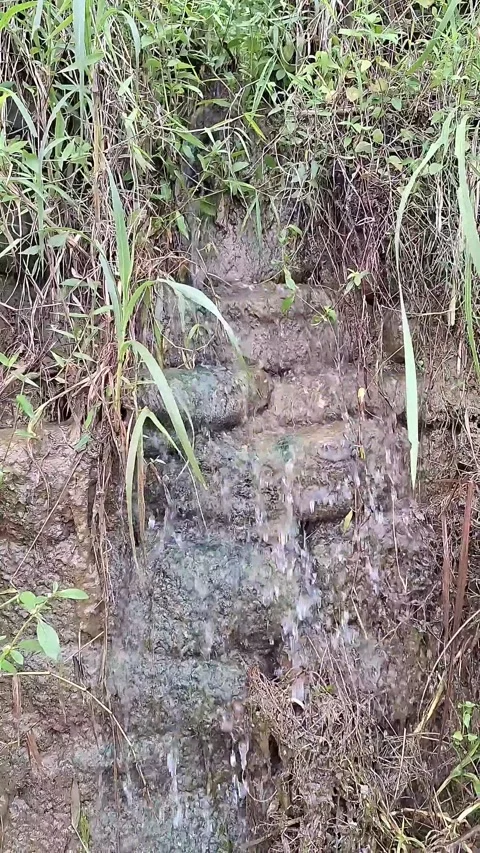 Small stream of water flowing between mud and grass Stock Footage 337051010