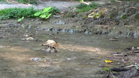 A small stream of water flowing continuously, which is very relaxing. Video stock 303416748