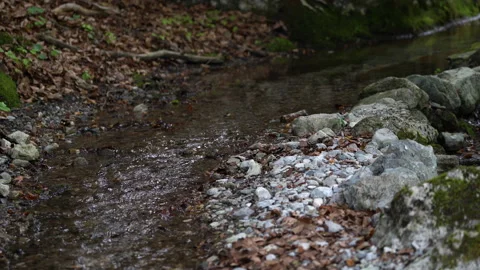 A small stream with water flowing fast between rocks covered moss in forest. Stock-Footage 162982706