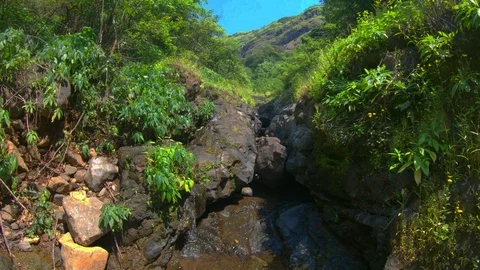 A small stream of water flowing Video stock 96435440