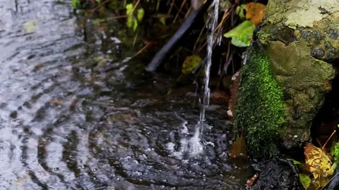 Small stream water flowing from moss-covered rock into dark pool with fallen Stock Footage 325697328