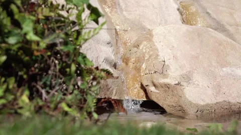 A small stream of water flowing from a rocky source surrounded by lush gree.. Stock Footage 283718488