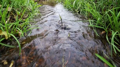 Small stream of water flowing through vibrant green grass in natural outdoor Stockbeeldmateriaal 325296958