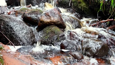 A small stream of water flows over rocks in a mountainous area in a forest. Fore Stock Footage 234899893