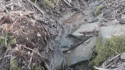 Small stream of water that has a current in detail Stock-Footage 267253629