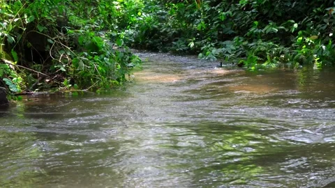 A small stream of water joins a bigger stream, close-up. River tributary. Stock Footage 252580974