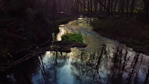 Small stream with water reflexion in a forest Video stock 143929449