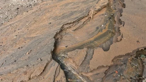 Small stream of water on the sand of the river bank Stock Footage 320981529