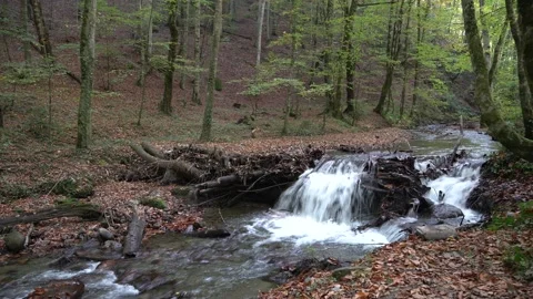 Small stream waterfall in autumn Stock Footage 131190575