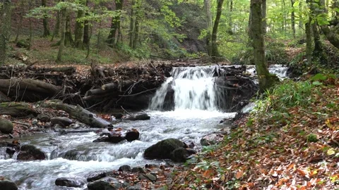Small stream waterfall in autumn Stock Footage 131192209