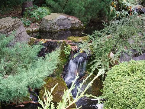 A small stream with a waterfall in the forest Stock Photos