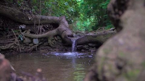Small stream waterfall in jungle 스톡 동영상 91194439