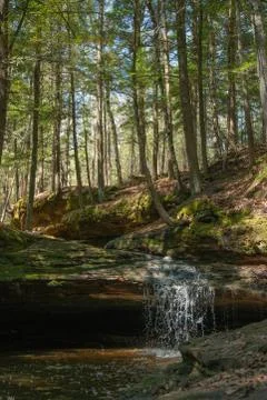 Small Stream Waterfall in Midwest Forest Woods Stock Photos