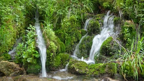 Small stream waterfall on a mountain in the Alps Stock Footage 130496255