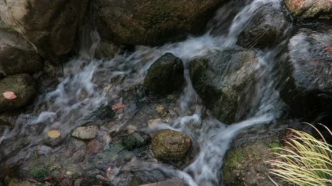 Small stream, waterfall over rocks large rocks, tall grass on the banks Stockbeeldmateriaal 119170613