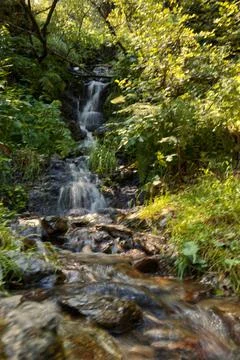 Small stream waterfall. Stock Photos