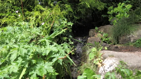 Small stream waterfall Seq A Pt1 of 2 Stock Footage 240943660