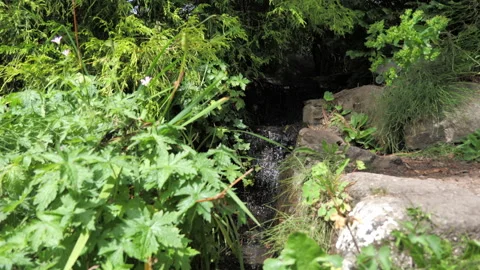 Small stream waterfall Seq A Pt2 of 2 Stock Footage 240945803