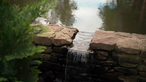 Small stream, waterfall, stream surrounded by fir Video stock 146143756