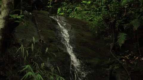 Small stream waterfall video 库存影片 153775773