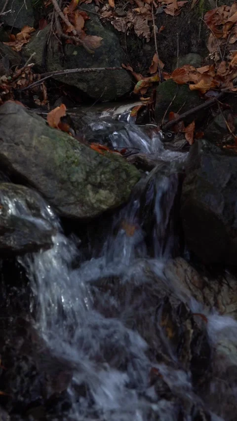 Small stream waterfall in the woods with rocks and colored autumn leaves Video stock 291725752