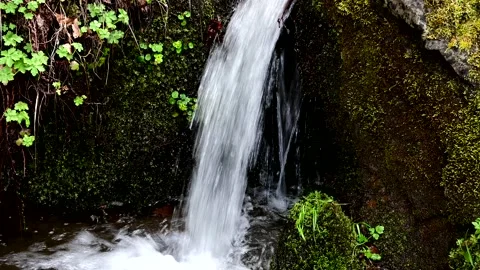 Small stream in the wilderness Stock Footage 238777847