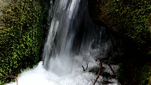 Small stream in the wilderness Stock Footage 239378583
