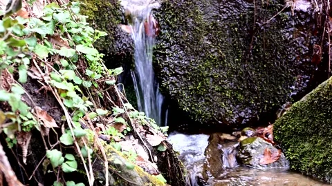 Small stream in the wilderness Stock Footage 239384110