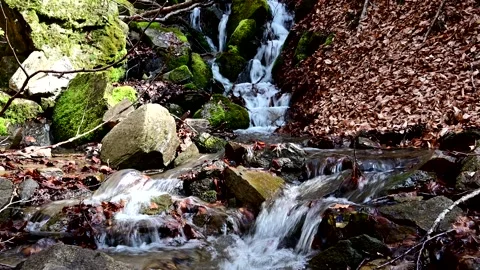 Small stream in the wilderness Stock Footage 242182229