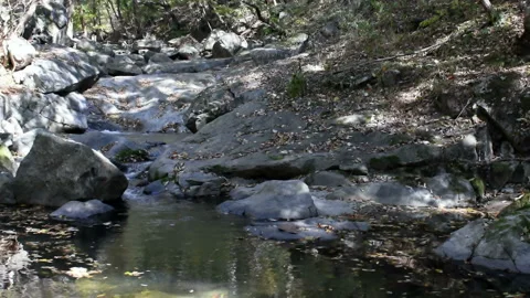 Small stream in wilderness park Stock Footage 142685783