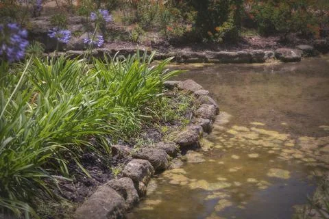 Small Stream Winding Through Washington Gardens St. Augustine Fl172 Stockfoto's