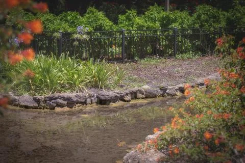 Small Stream Winding Through Washington Gardens St. Augustine Fl167 Stockfoto's