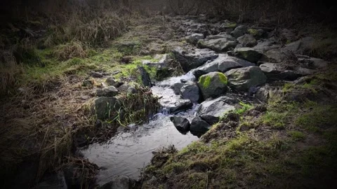 A small stream winds its way through a grassy riparian landscape. Stock Footage 327084455