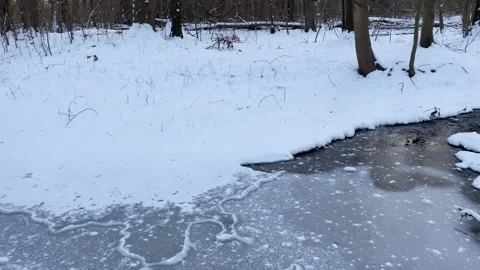 A small stream winds its way through the winter forest Video stock 331437715