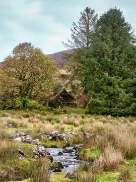 A small stream winds through a grassy moorland landscape. Stock Photos