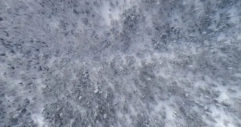 A small stream in the winter forest. Aerial View. Top down. Siberian taiga. Video stock 81161378