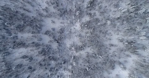 A small stream in the winter forest. Aerial View. Top down. Siberian taiga. Video stock 81161541
