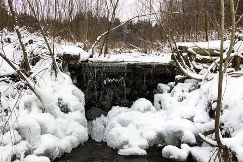Small stream in winter forest covered with snow, close-up Stock Photos