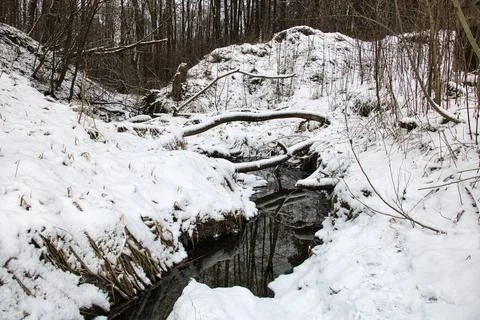 Small stream in winter forest covered with snow, close-up Stock Photos