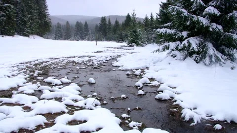 A small stream in the winter forest Stock Footage 159399004