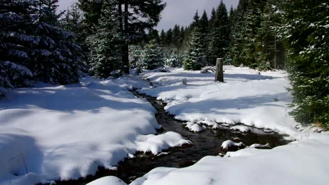A small stream in the winter forest Stock Footage 159659169