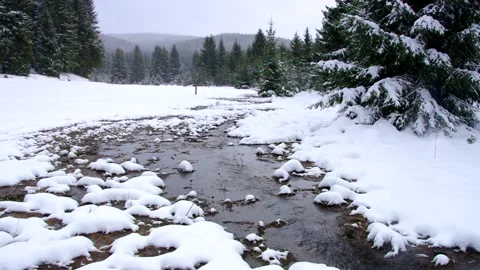 A small stream in the winter forest Stock Footage 219105791
