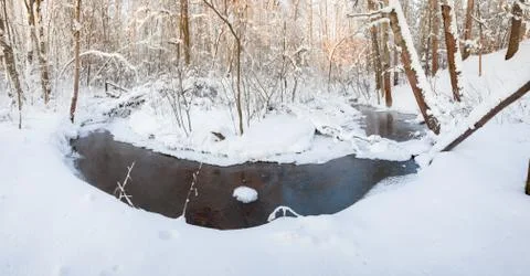 Small stream in winter forest Stock Photos