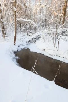 Small stream in winter forest Stock Photos