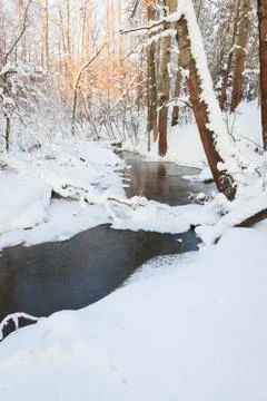 Small stream in winter forest Stock Photos
