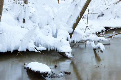 Small stream in winter forest Stock Photos