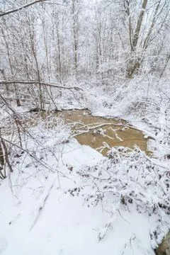 Small stream in winter forest Stock Photos