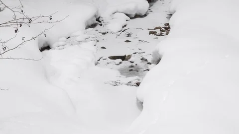 Small stream in winter, snow covered ground. Stock Footage 73297812
